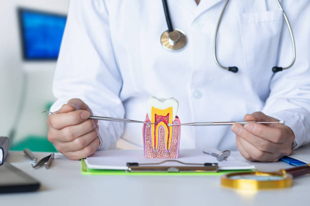 Best Emergency Root Canal Treatment in Greenfield, MN